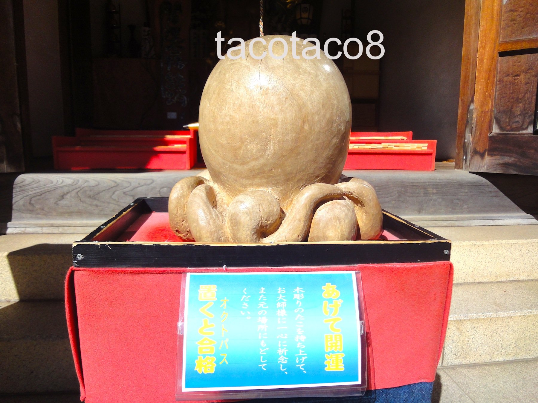 Octopus＠Mount Takaoタコの聖地＠高尾山 – tacotaco8