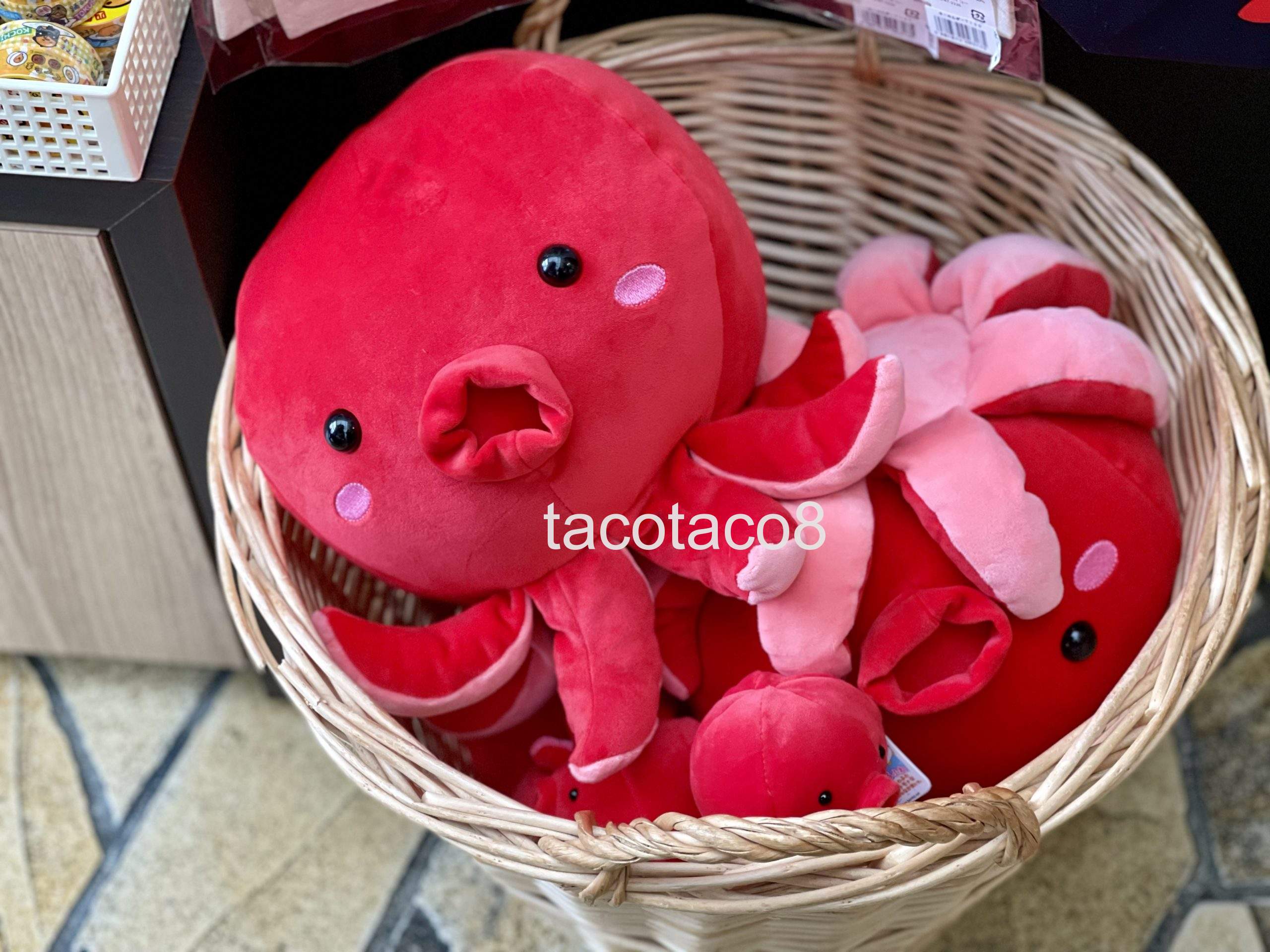 タコやねん！＠淡路島 – tacotaco8