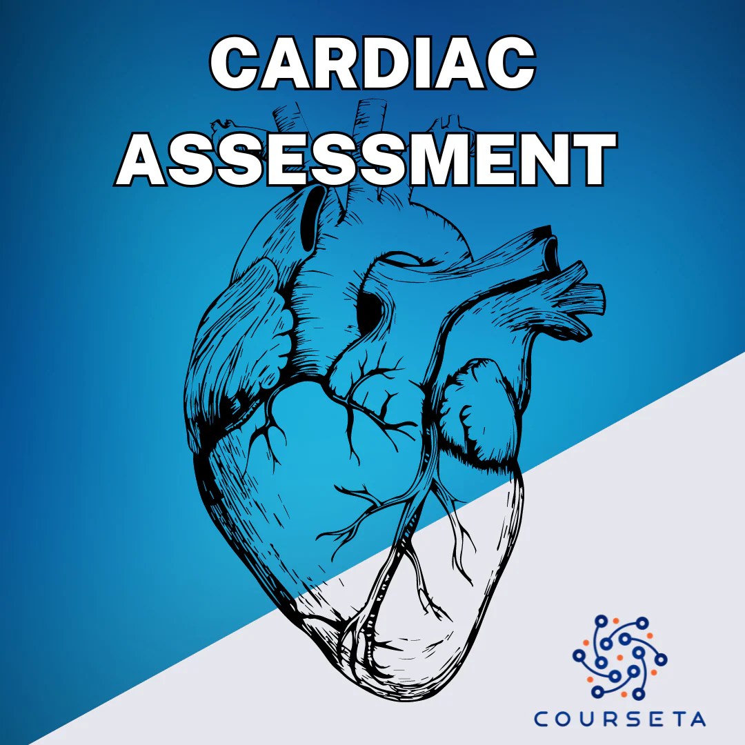 Heart Assessment Nurses Cardiac Assessment Nursing Kamp Youtube