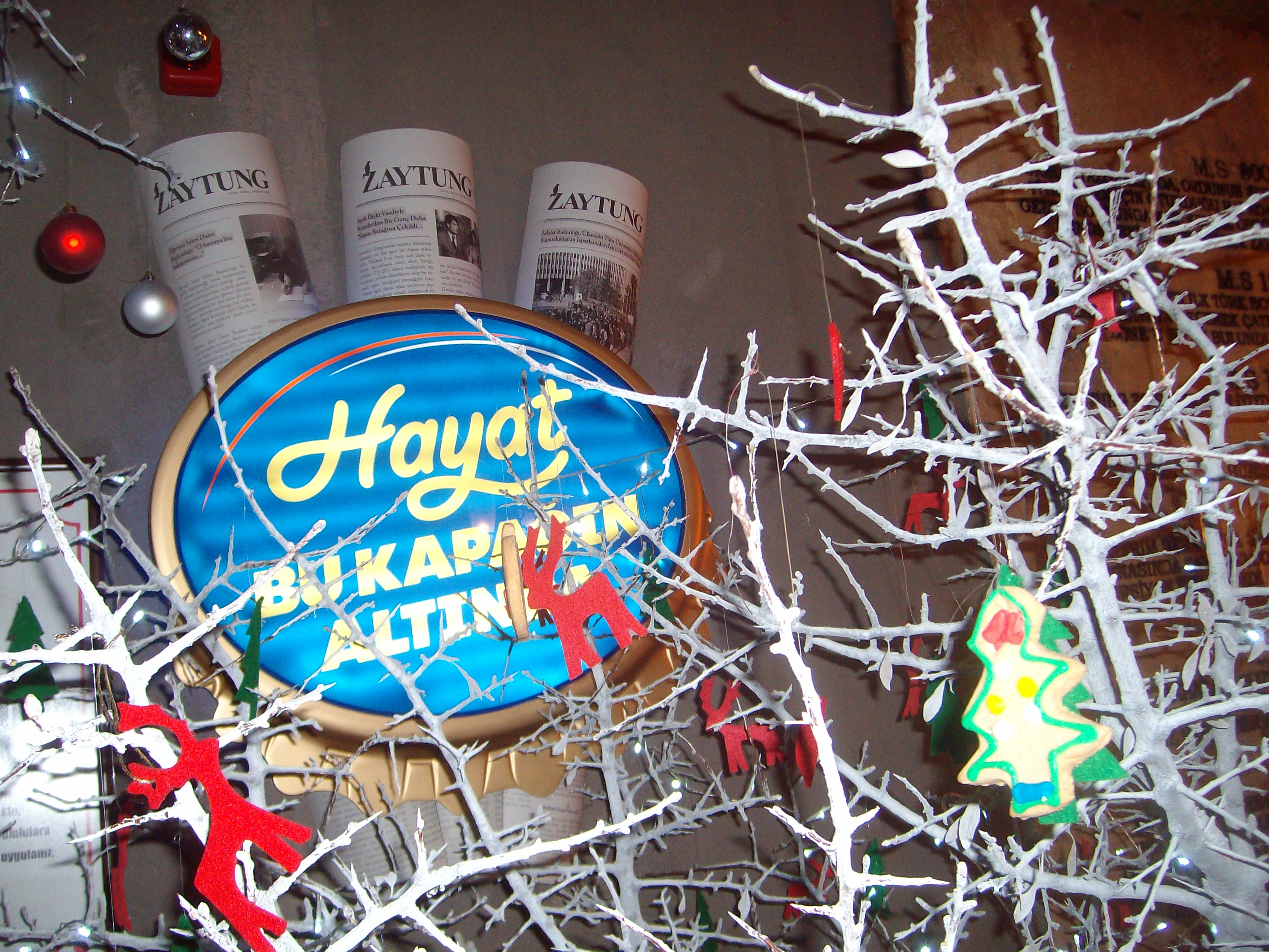 Zaytung Zone Meşrutiyet, Konur Sk. No:8, 06420 Çankaya/Ankara