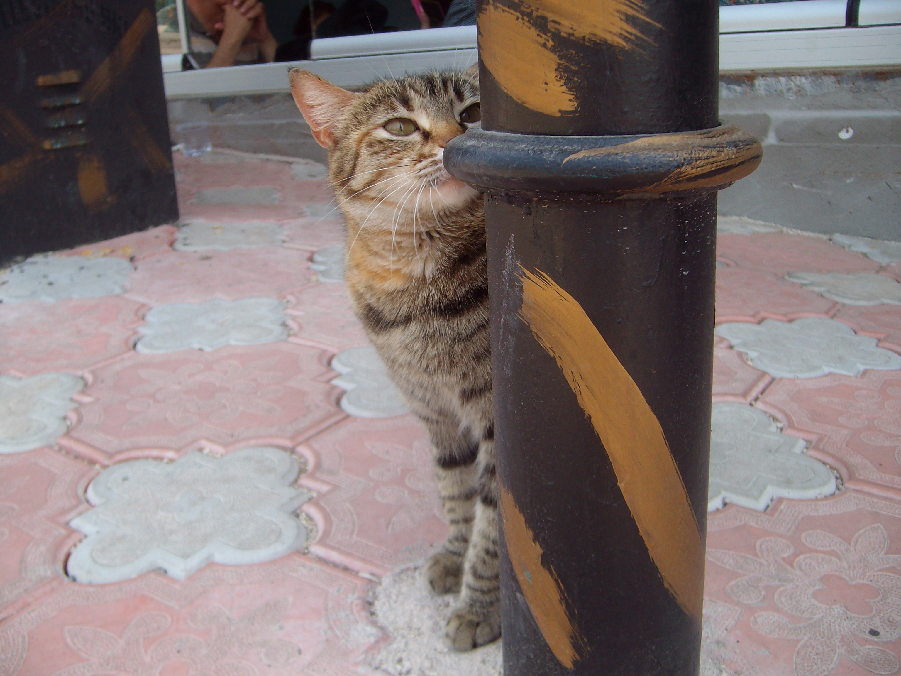 PENTACON DIGITAL CAMERA