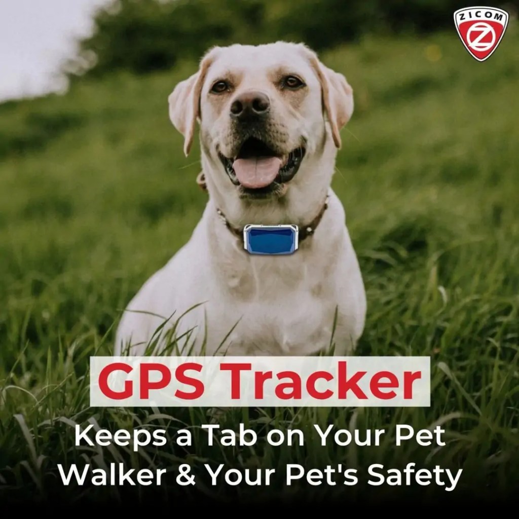 Technological Advancements in Pet Care: Enhancing the Lives of Pets and Owners 8 tag