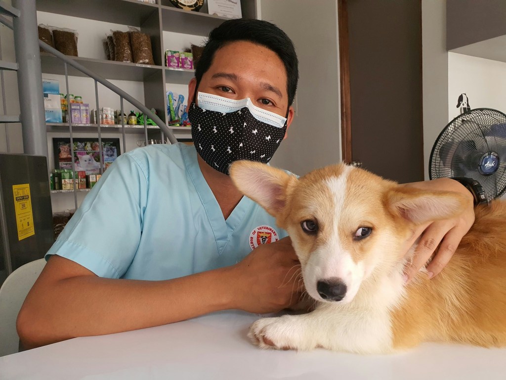 Top Pet Health Trends in India 2025 8 vet