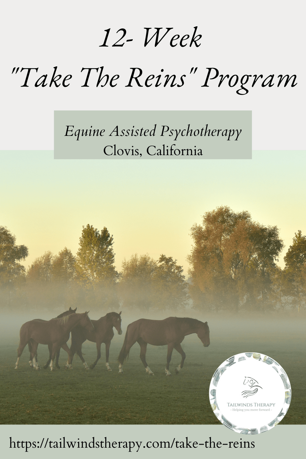 Equine Assisted Psychotherapy Take The Reins TAILWINDS THERAPY