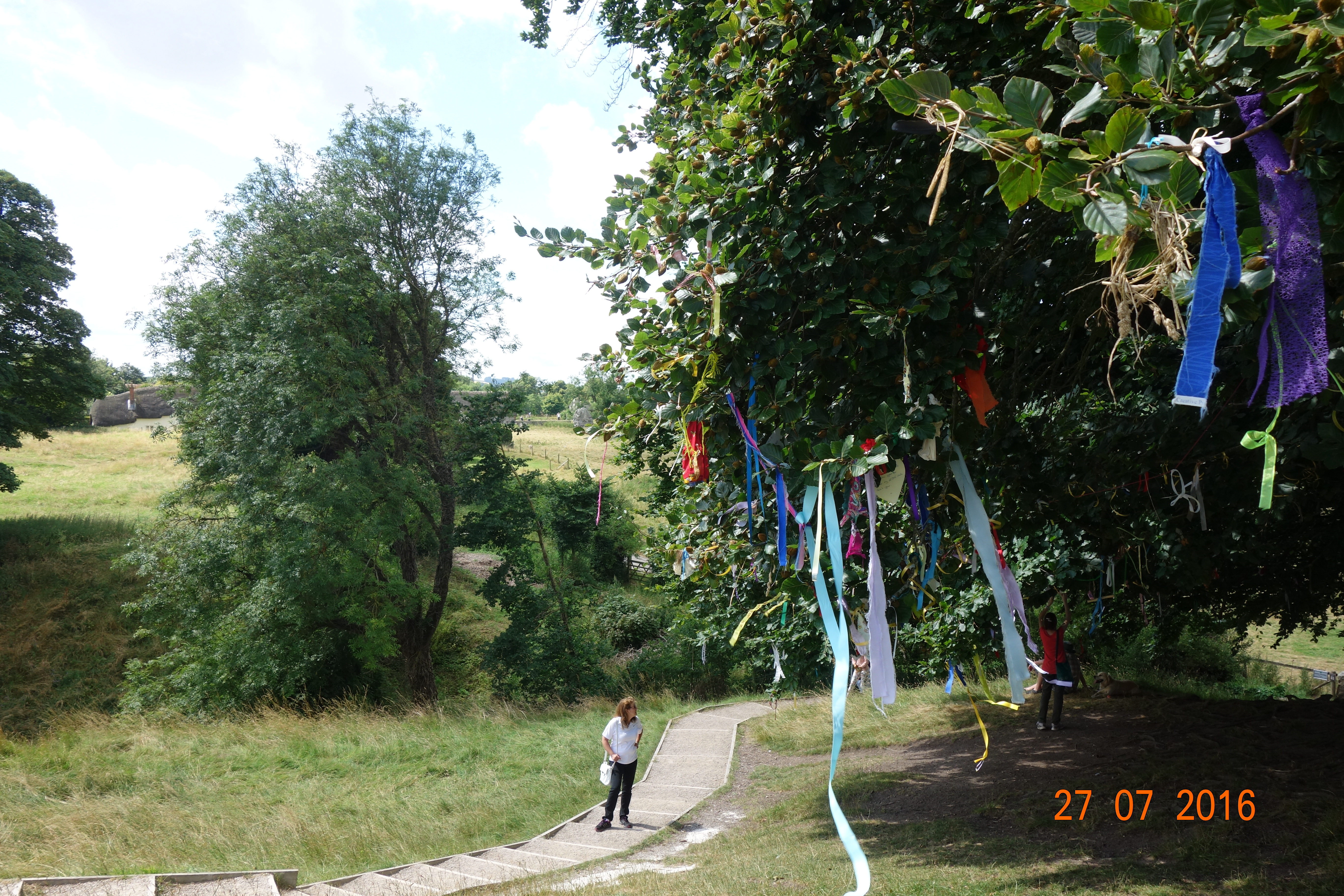 DSC00853