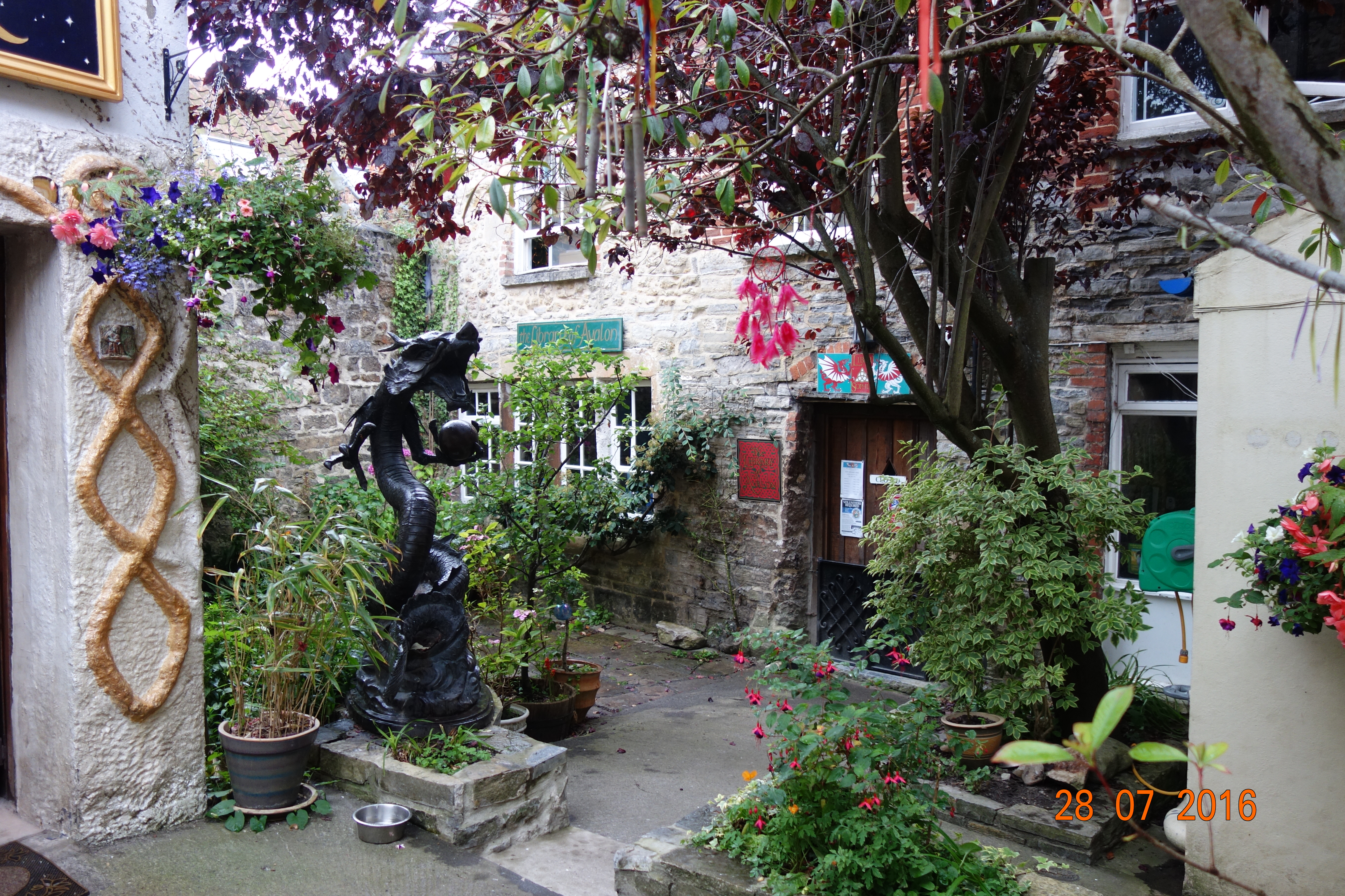 DSC00870