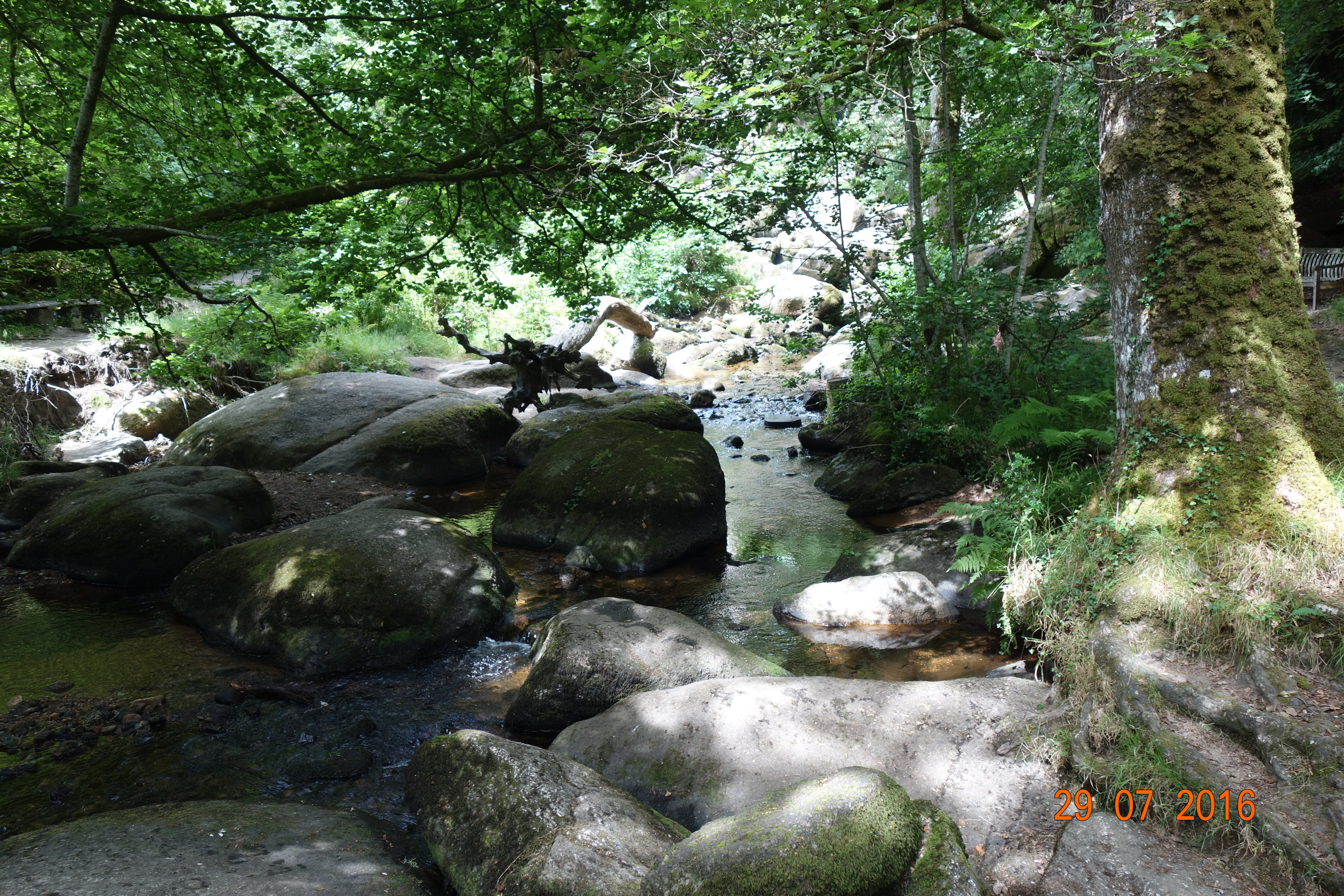 DSC00896