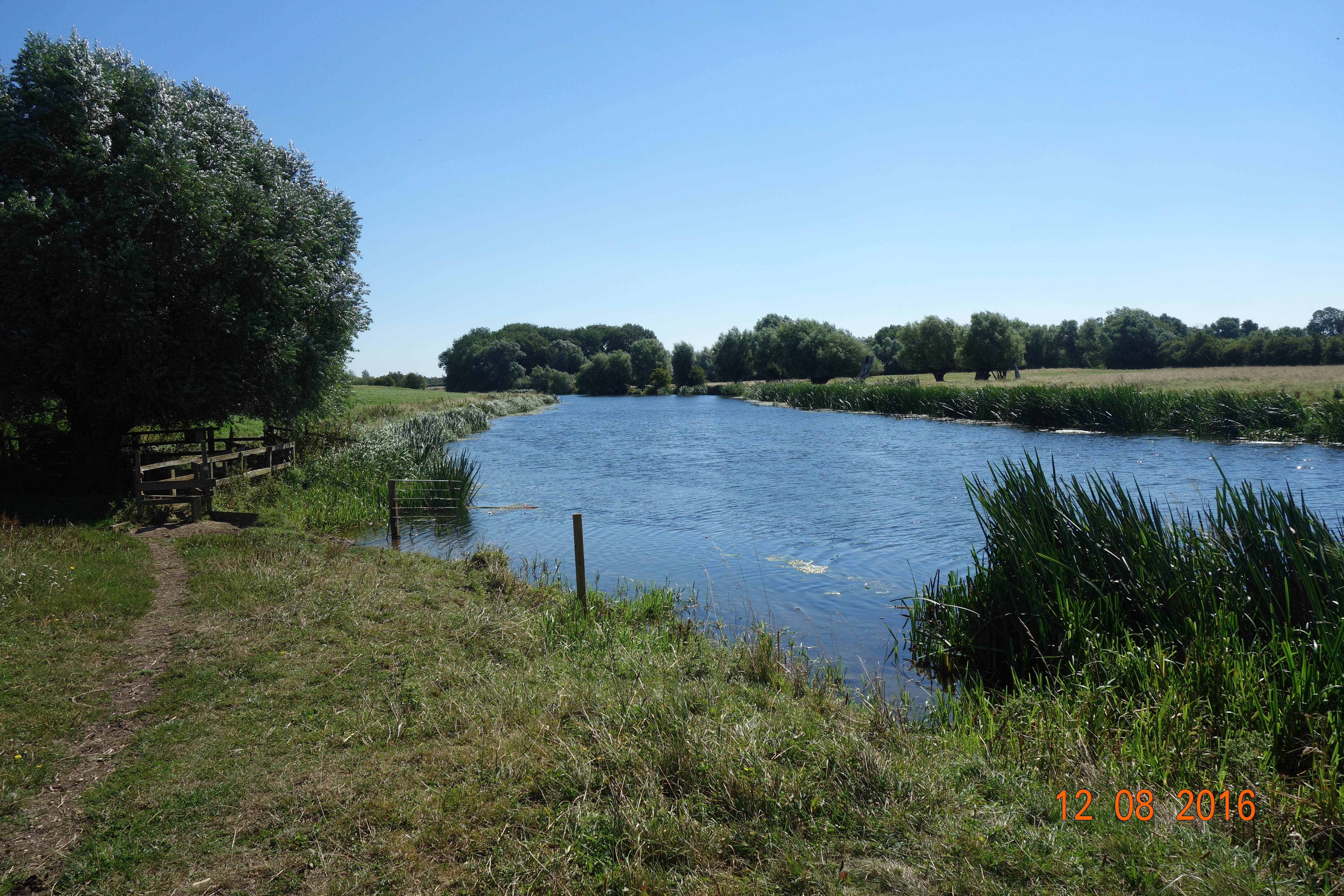 DSC00930