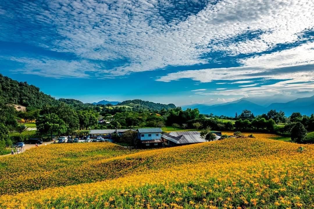 歸南國小少棒球員在專業棒球場進行打擊與守備訓練。