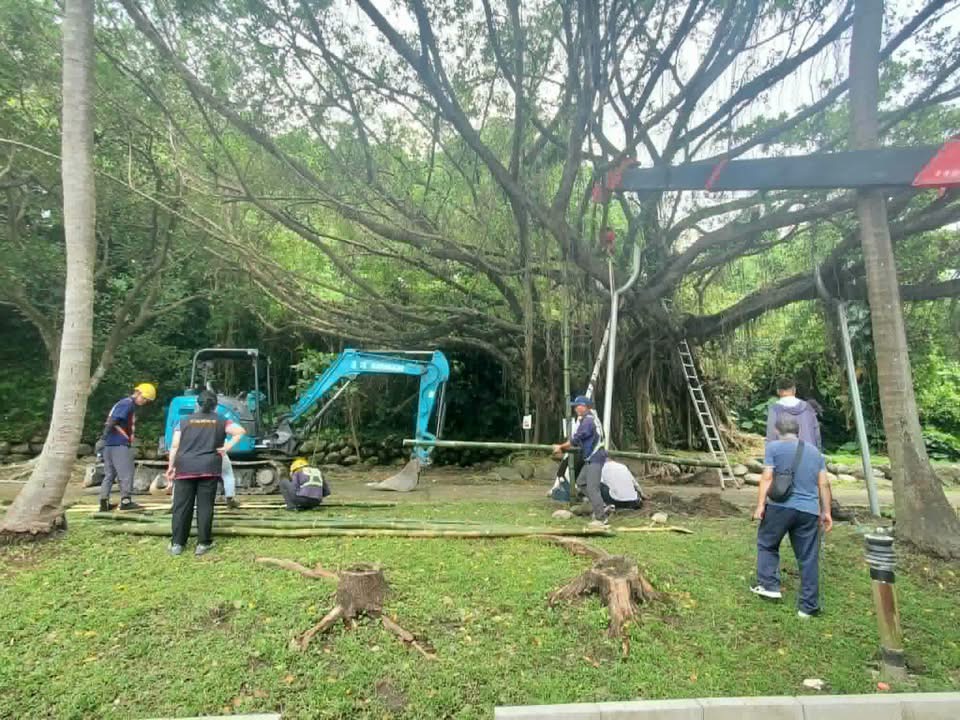 【護樹兼顧安全》兩潭自行車道老榕樹完成支撐加固 守護地方記憶與安心騎乘】