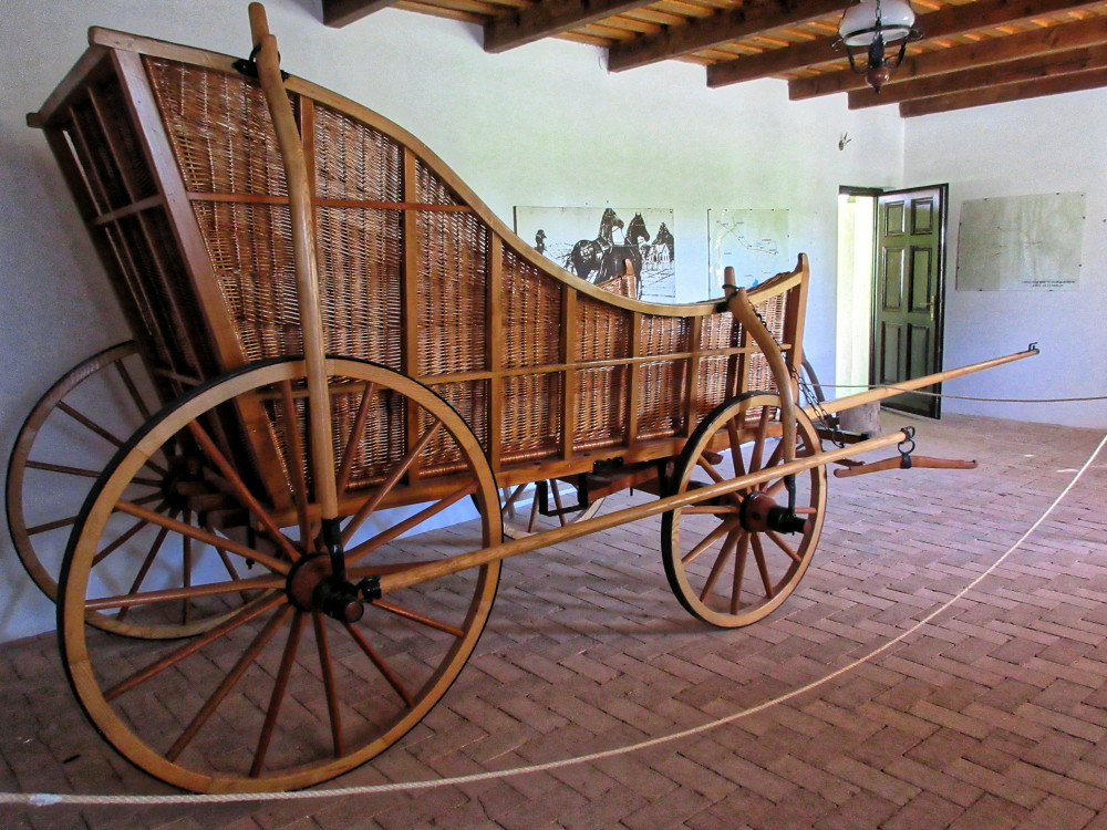 コーチの歴史 ２ Tajima