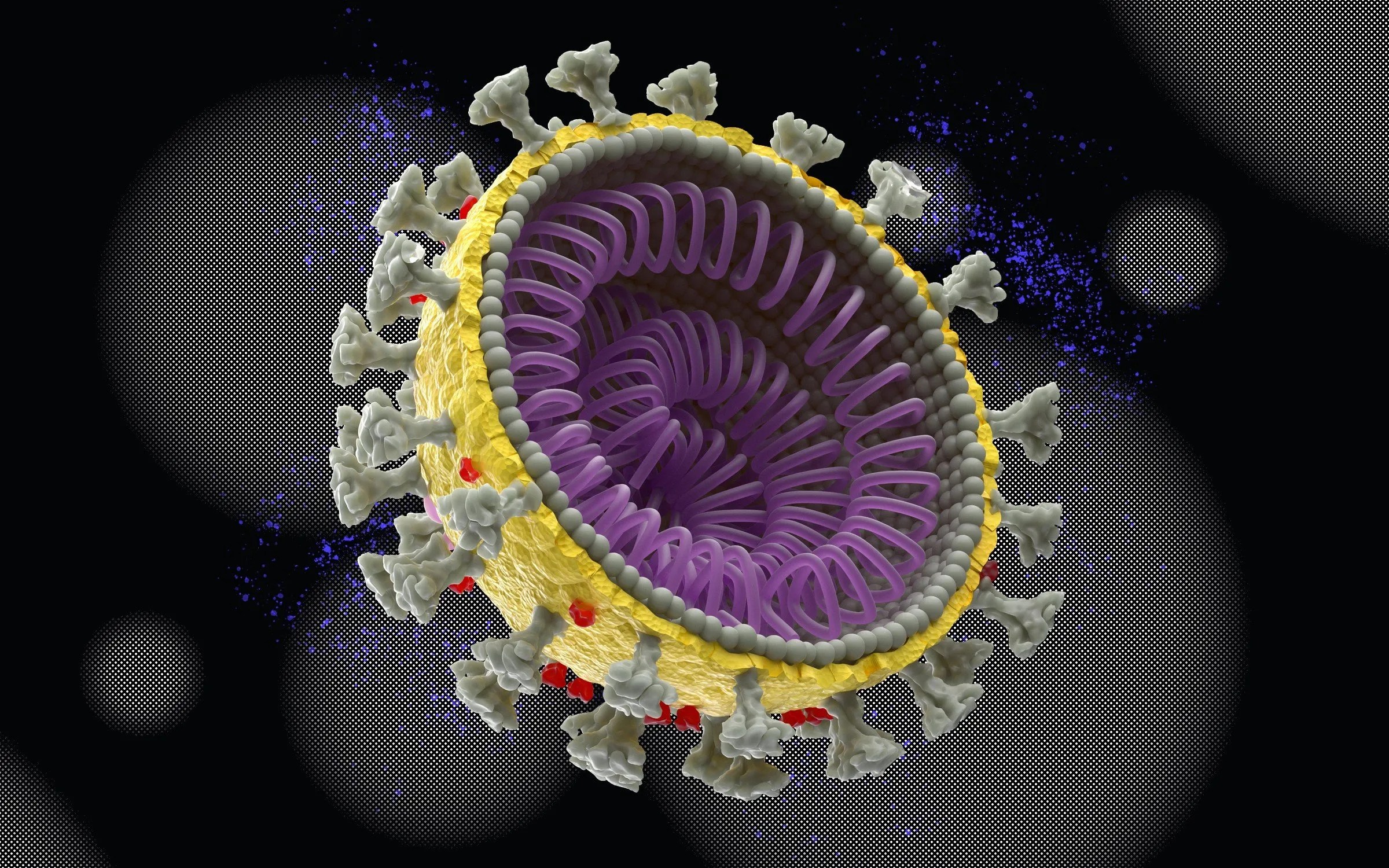 All the Coronavirus Terminology You Need to Know