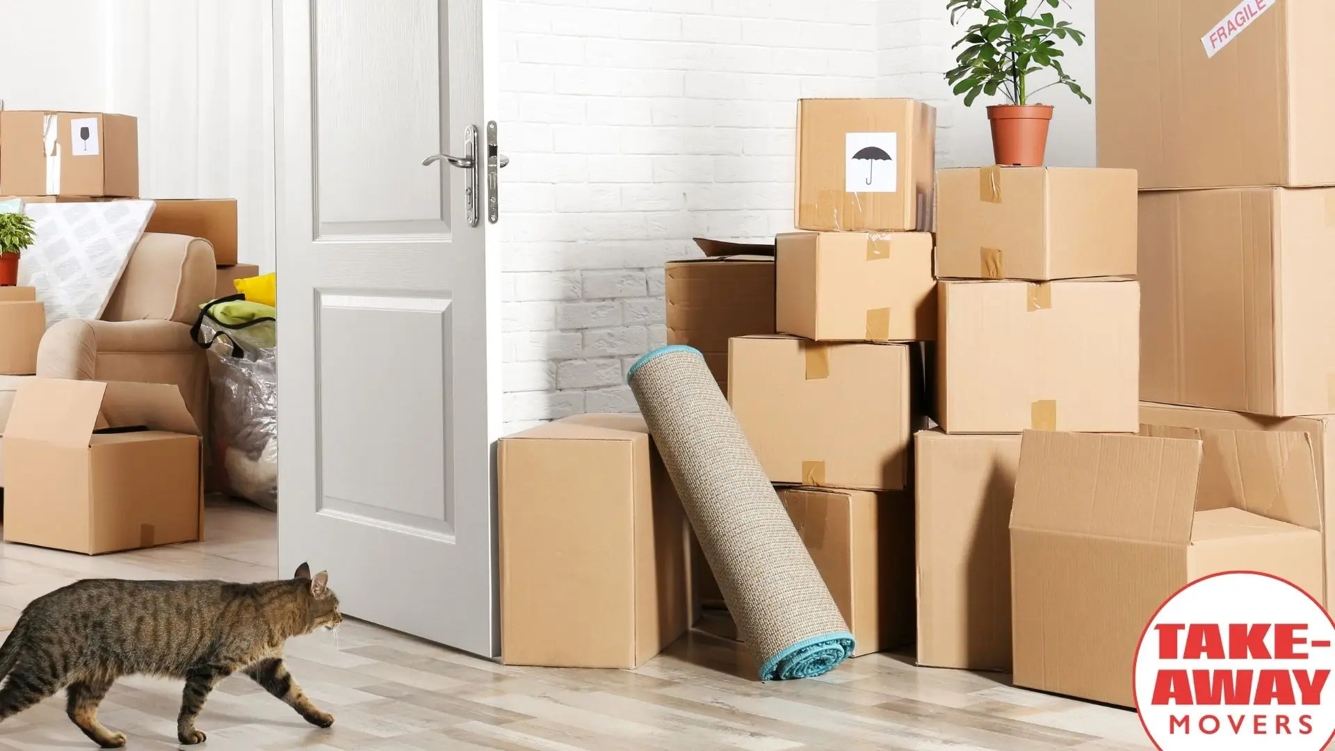 Packed Boxes for Moving