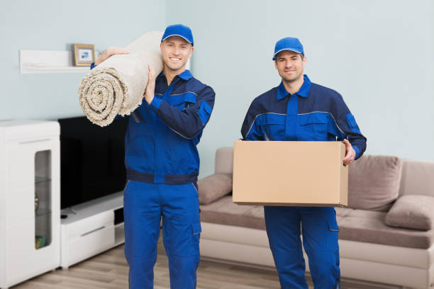 Movers - standing with boxes in blue work wear