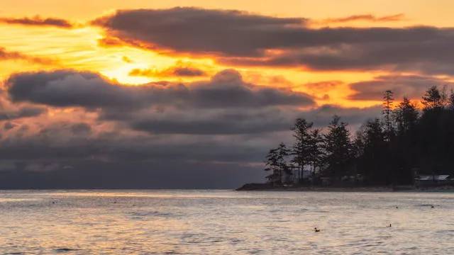 ComoxMovers Comox, ocean trees and sunset.