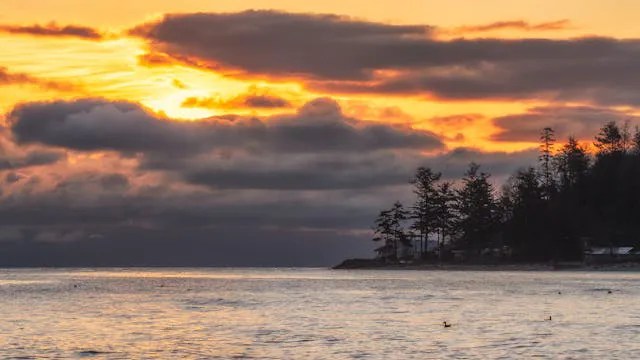 Comox, ocean trees and sunset.