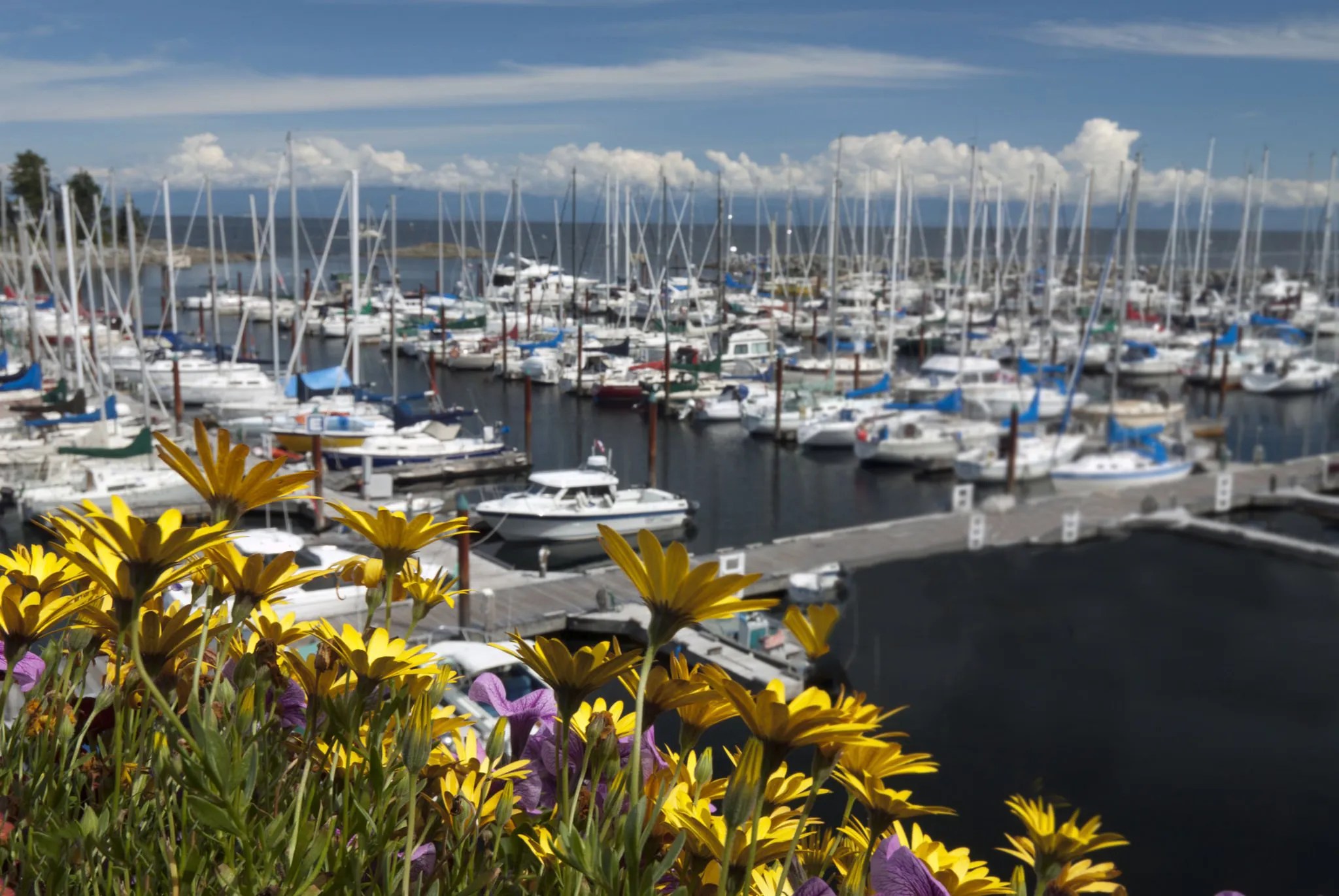 Parksville, ocean, boats on a sunny day