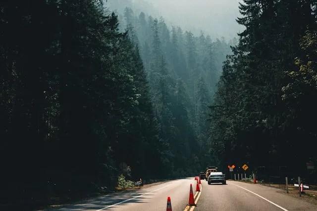 Port Alberni, BC Trees and road.