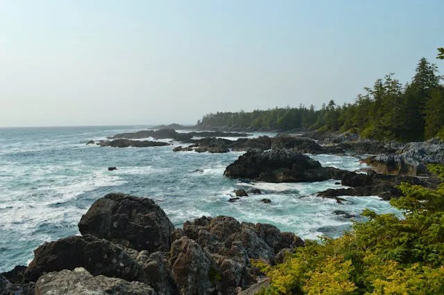 ocean waves, trees and sky very beautiful