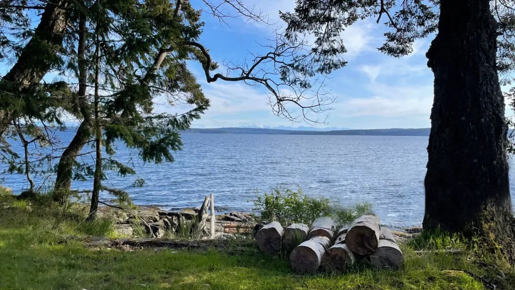 Ladysmith, british columbia. Trees and ocean.