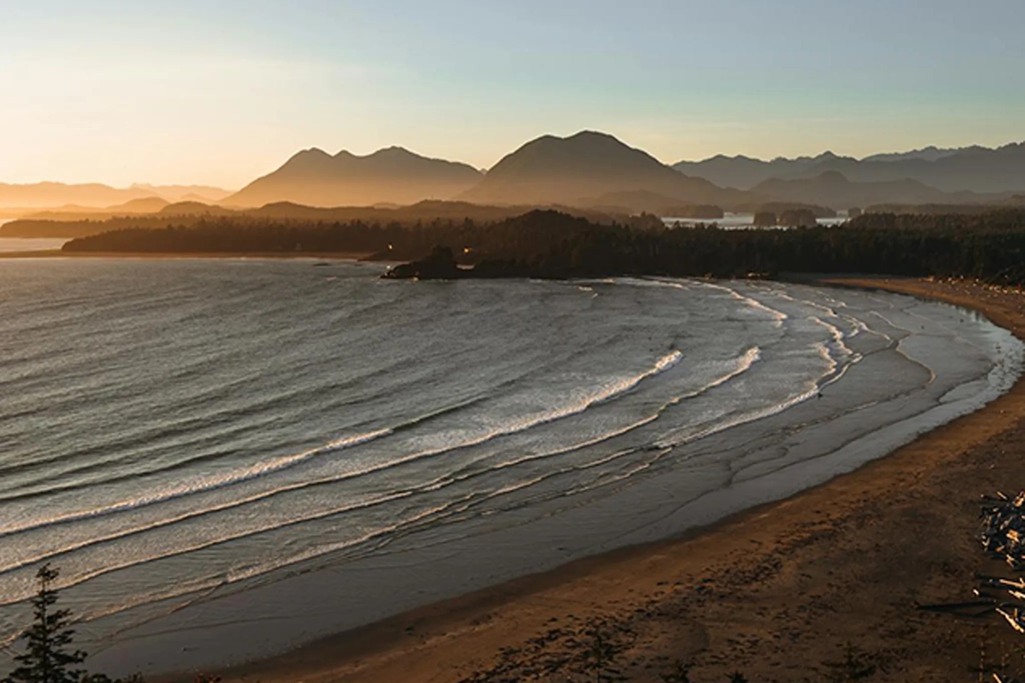 tofino, ocean waves and trees