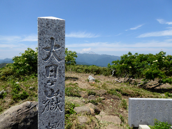 大日ヶ岳　山頂