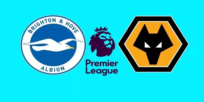 Prediksi Pertandingan Brighton vs Wolves Tanggal 26 Oktober