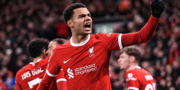 Cody Gakpo Menguak Rahasia Keberhasilan Bintang Baru Liverpool
