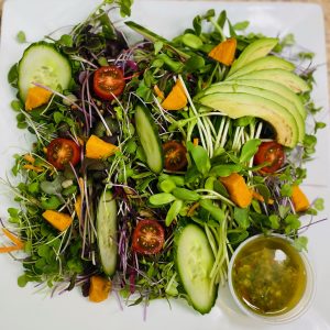 Assorted Microgreens Salad, Avocado & Sweet Potato, Herb Vinaigrette. (VG)