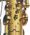 00536