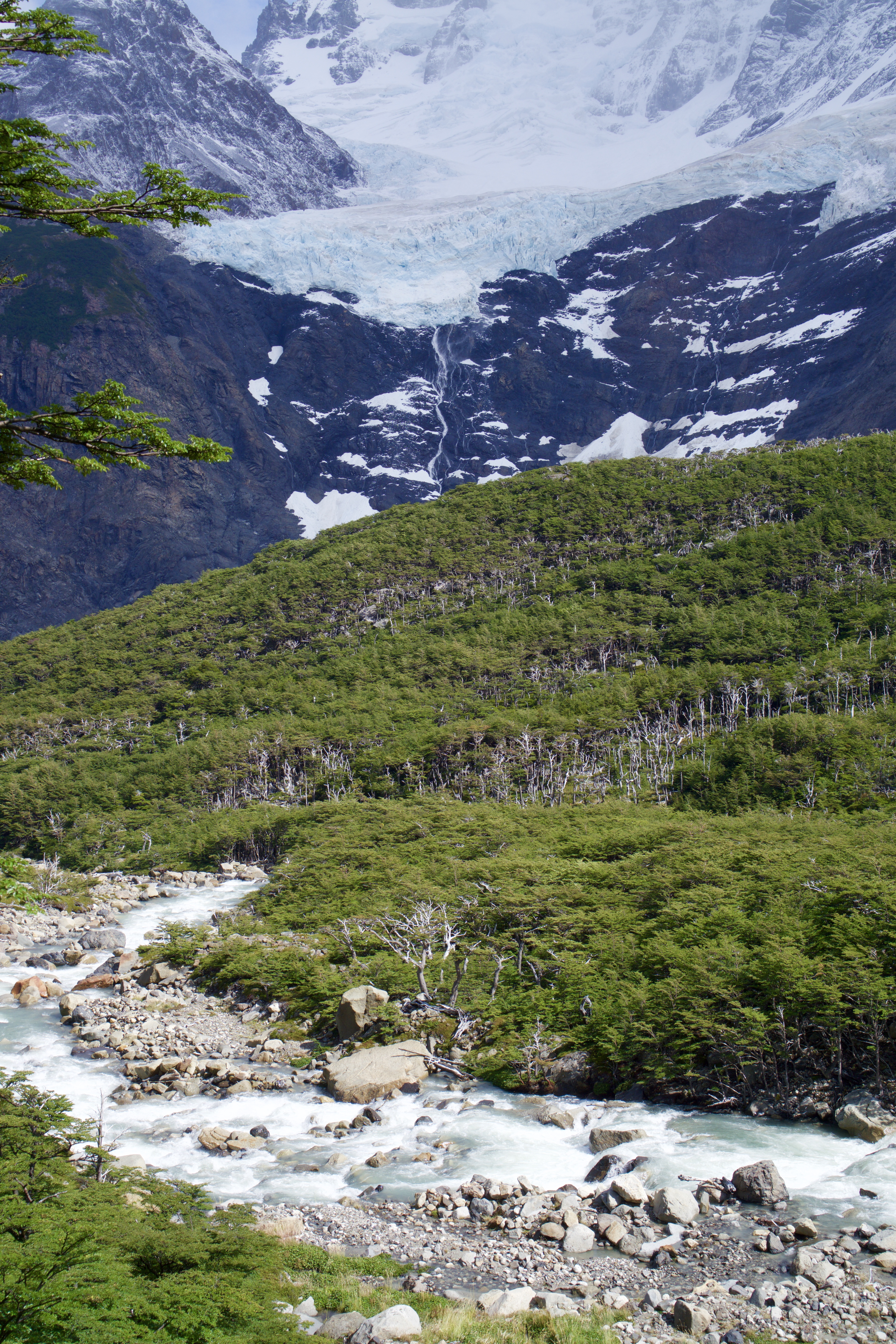 - The snow white, glacier blue, and rich greens set against the varying grays of mountains and rocks never got old