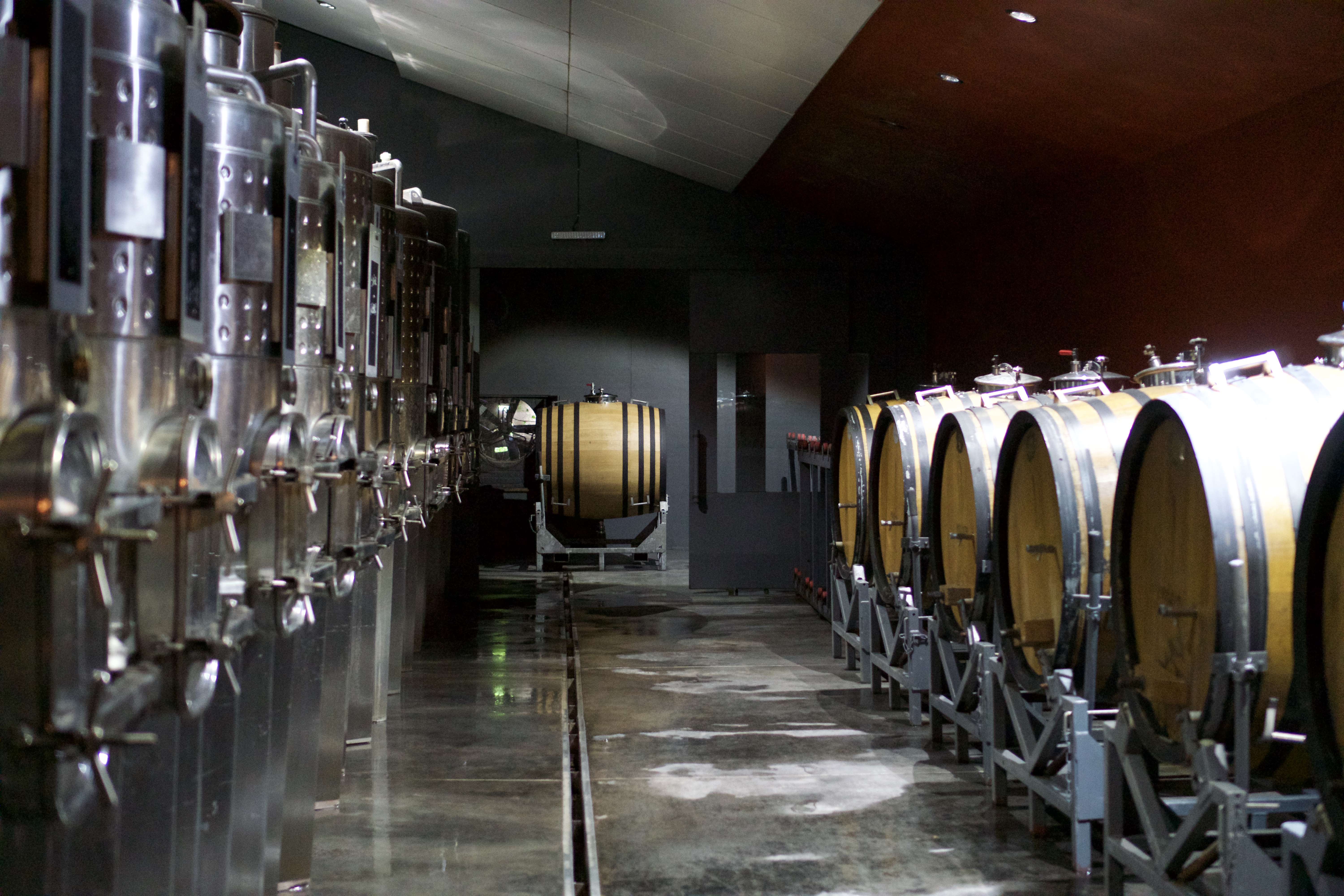 Observing the wine-making process