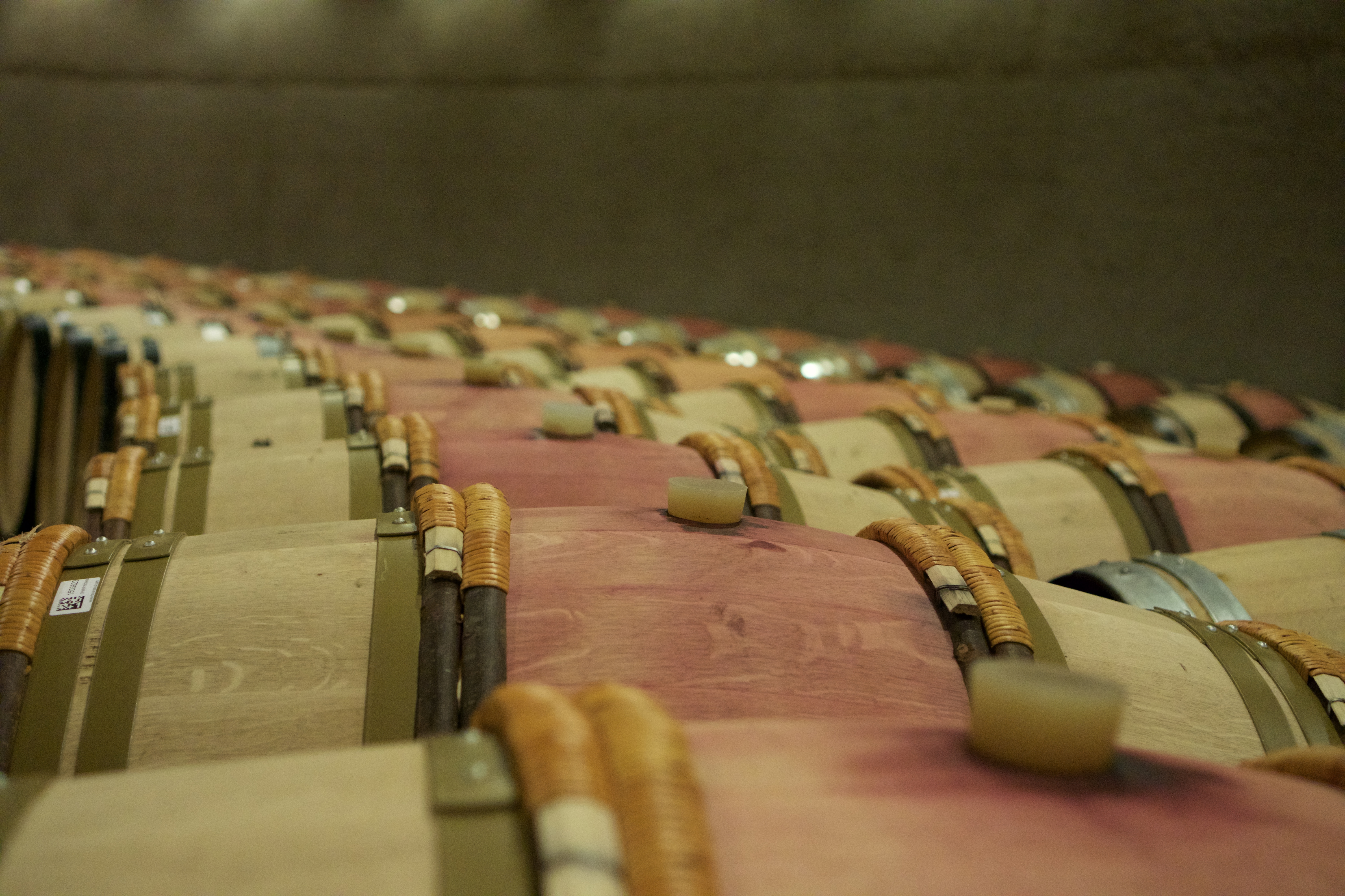 Small French Oak barrels in Catena Zapata's storeroom