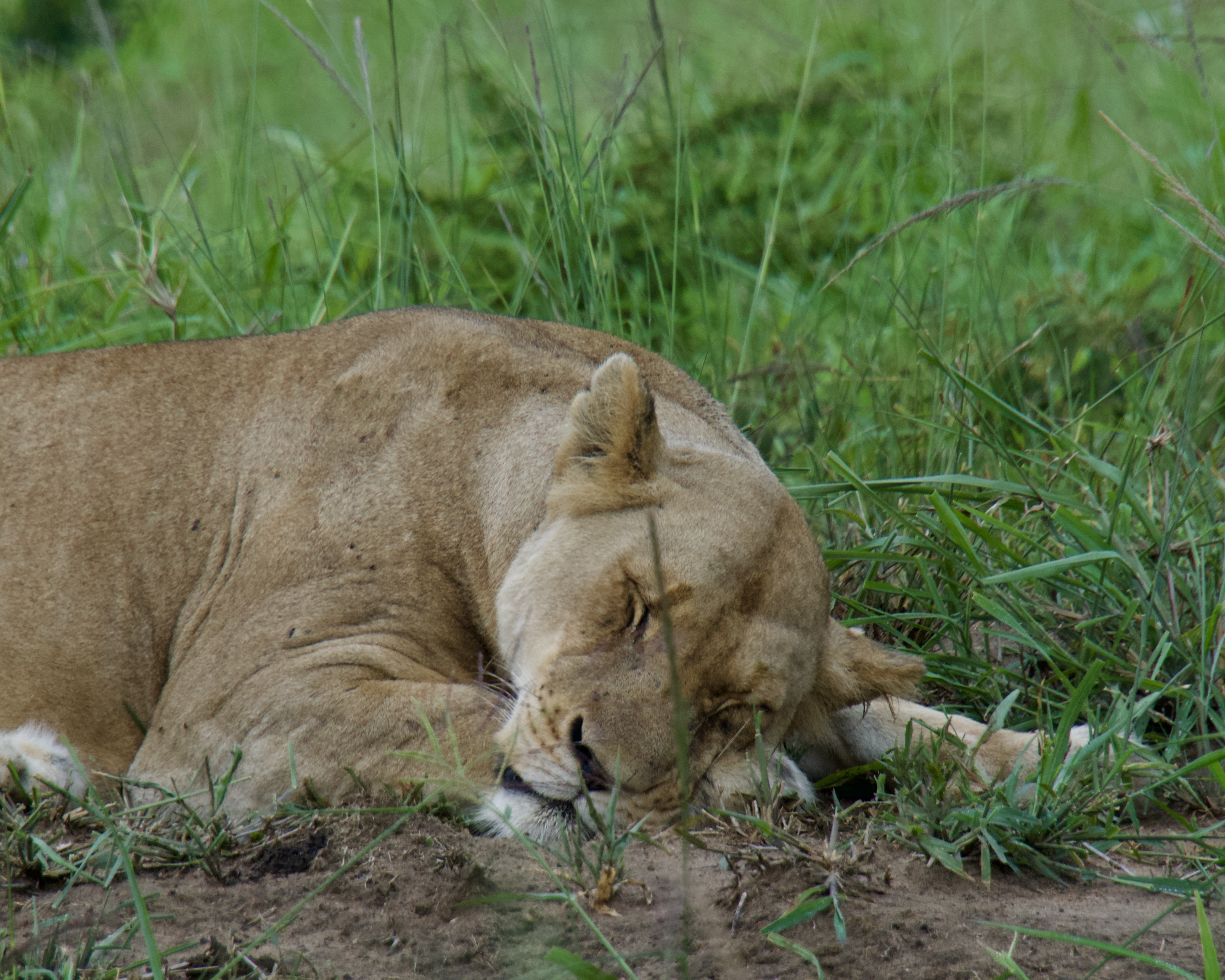 Mama's had a long day