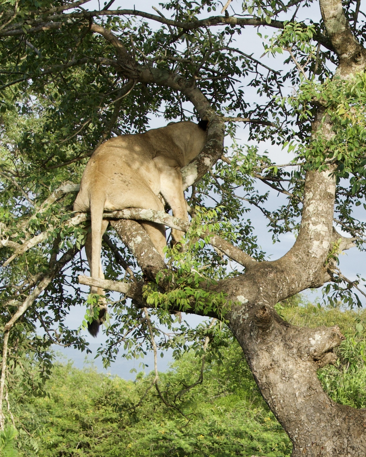 Yep, I get this feeling