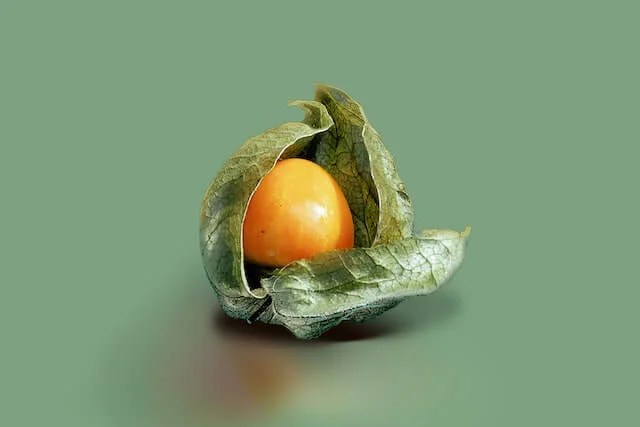 a18 – Talents2kin