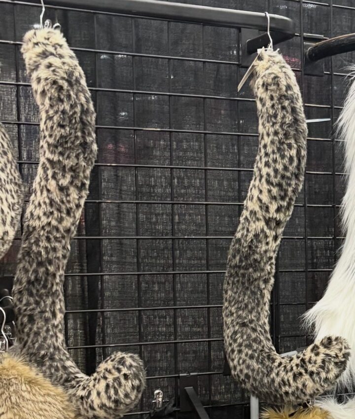 Large "Cat" Tail