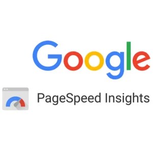 Google PageSpeed Insight
