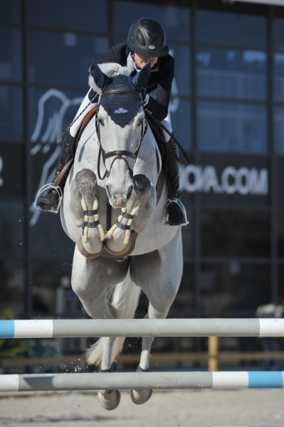 Courtney Vince & Ashford Farm