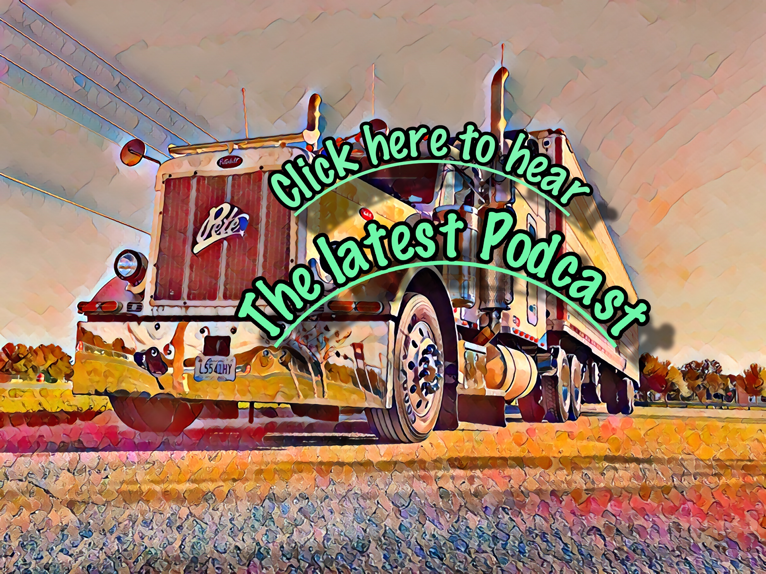 BIG PRISON SENTENCE FOR TRUCKER PLUS TESLA