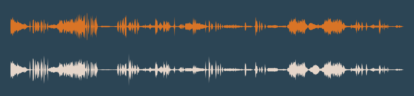 Waveform of Eels, one of Craig Carpenter’s binaural sound works.
