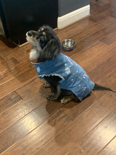 Bella Medium