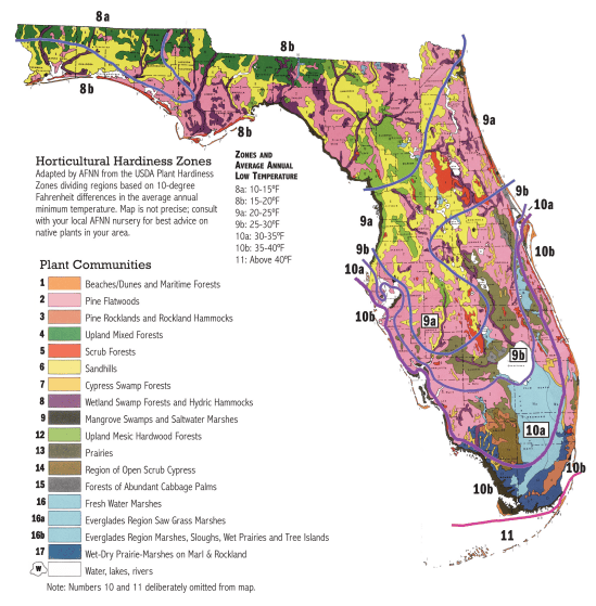 Native Plant Resources Tallahassee Nurseries Tallahassee S Premier FWAD Links 10 
