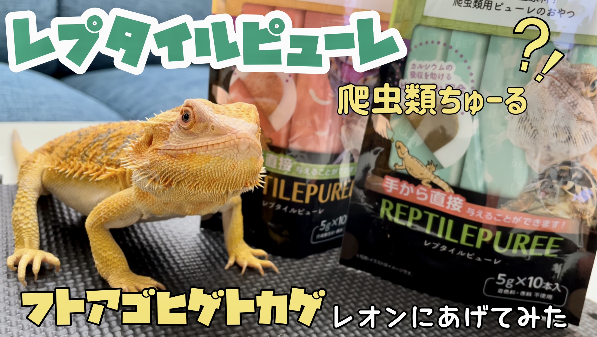 レプタイルピューレ