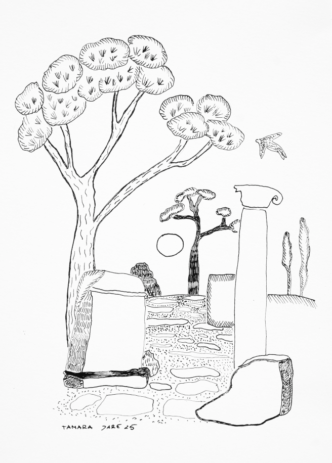 Pen and Ink Drawing by Tamara Jare for poem Path of Freedom
