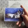 Maxi Sticker 5er Pack – Bild 4