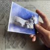 Maxi Sticker 5er Pack – Bild 3