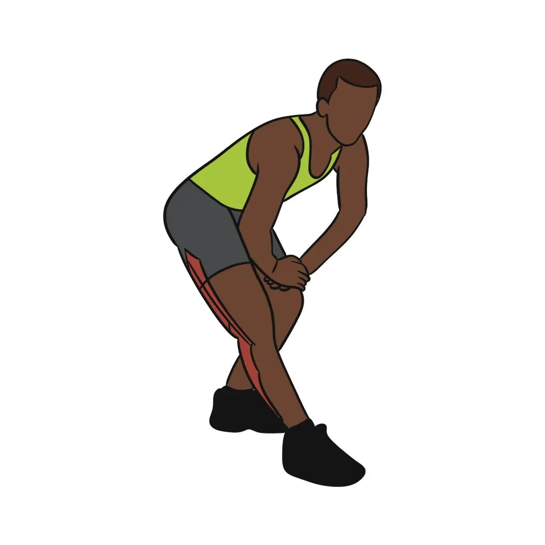 Illustration of someone doing a hamstring stretch