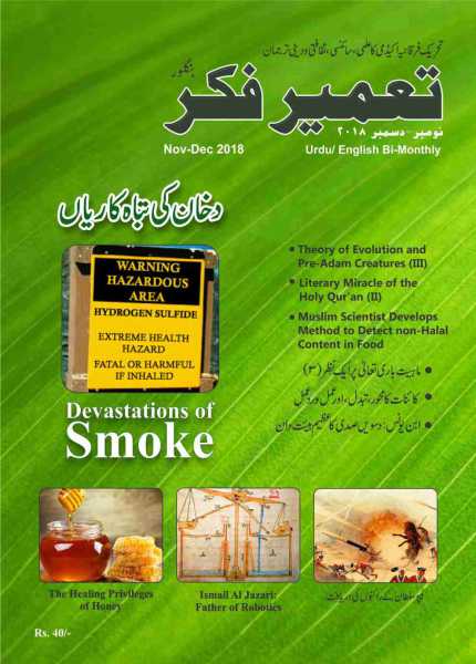 Tameer-e-Fikr Magazine (Nov-Dec 2018)
