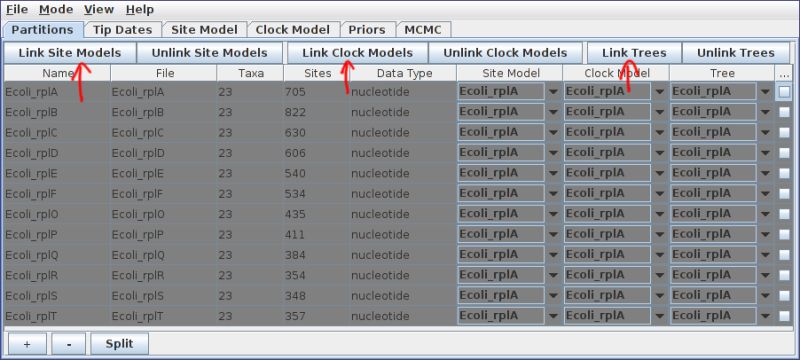 Bacter Tutorial - Download Professional Sunset Texture | 8K